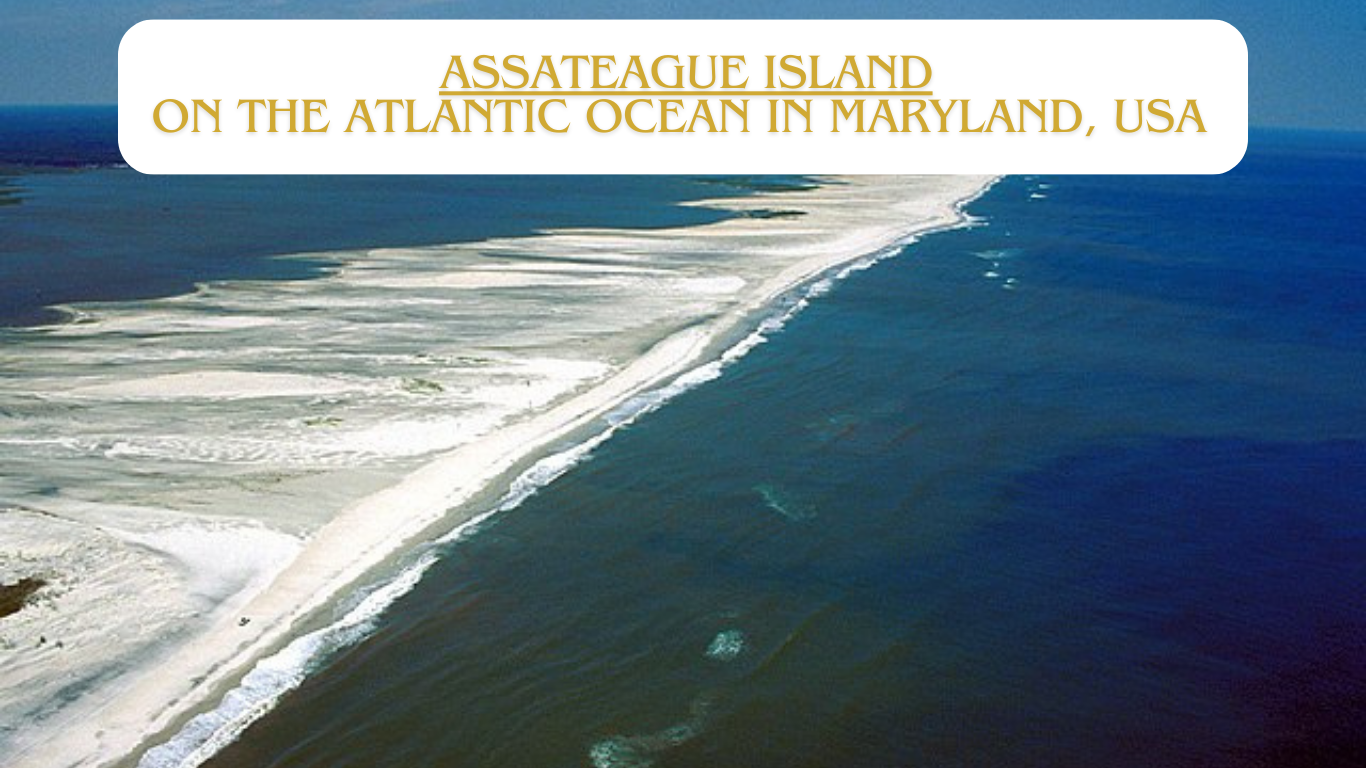 Assateague Island